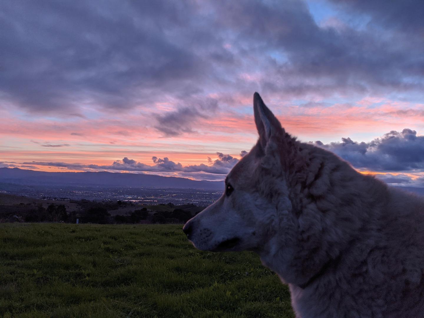 15475 Clayton Rd, SAN JOSE, California 95127, ,Lots And Land,For Sale,Clayton Rd,40962017
