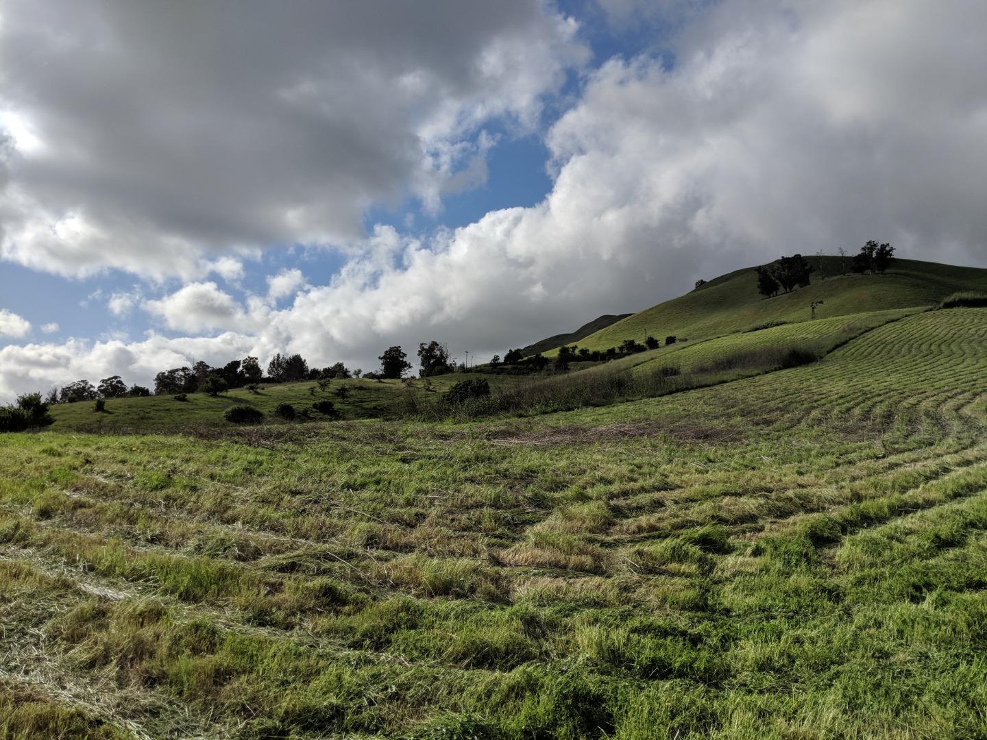 15475 Clayton Rd, SAN JOSE, California 95127, ,Lots And Land,For Sale,Clayton Rd,40962017