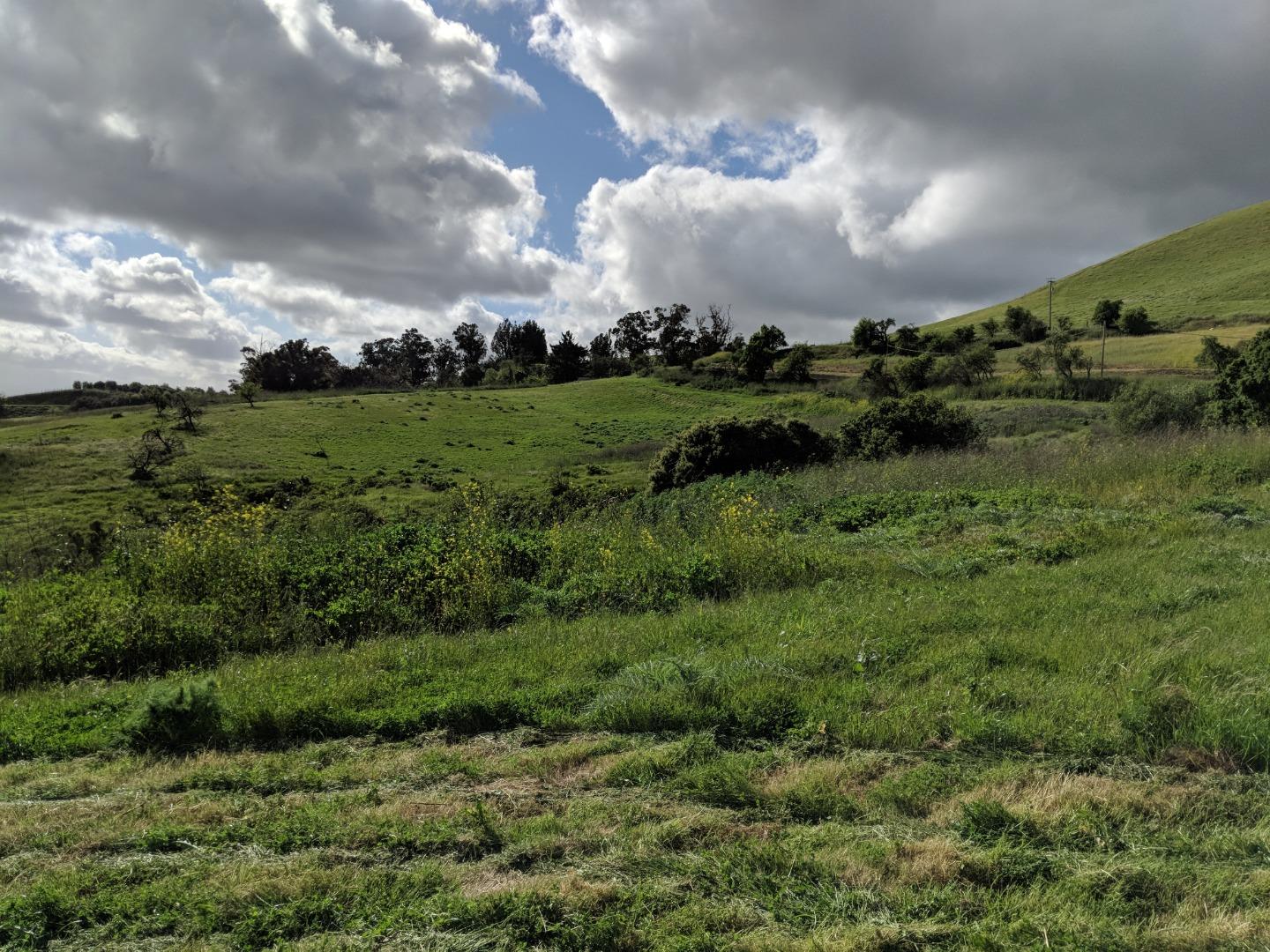 15475 Clayton Rd, SAN JOSE, California 95127, ,Lots And Land,For Sale,Clayton Rd,40962017