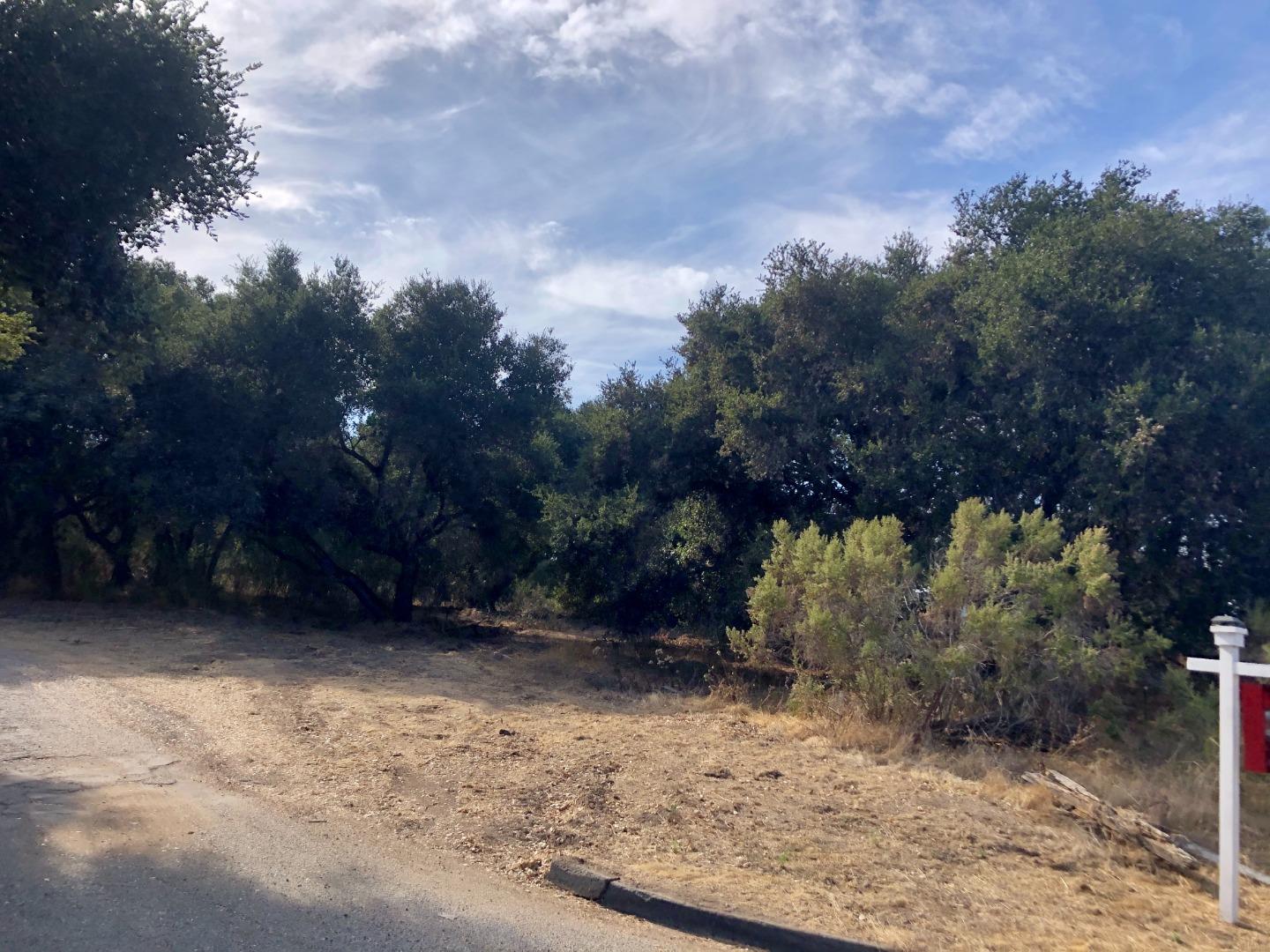 332 San Benancio Road, SALINAS, California 93908, ,Lots And Land,For Sale,San Benancio Road,40962055