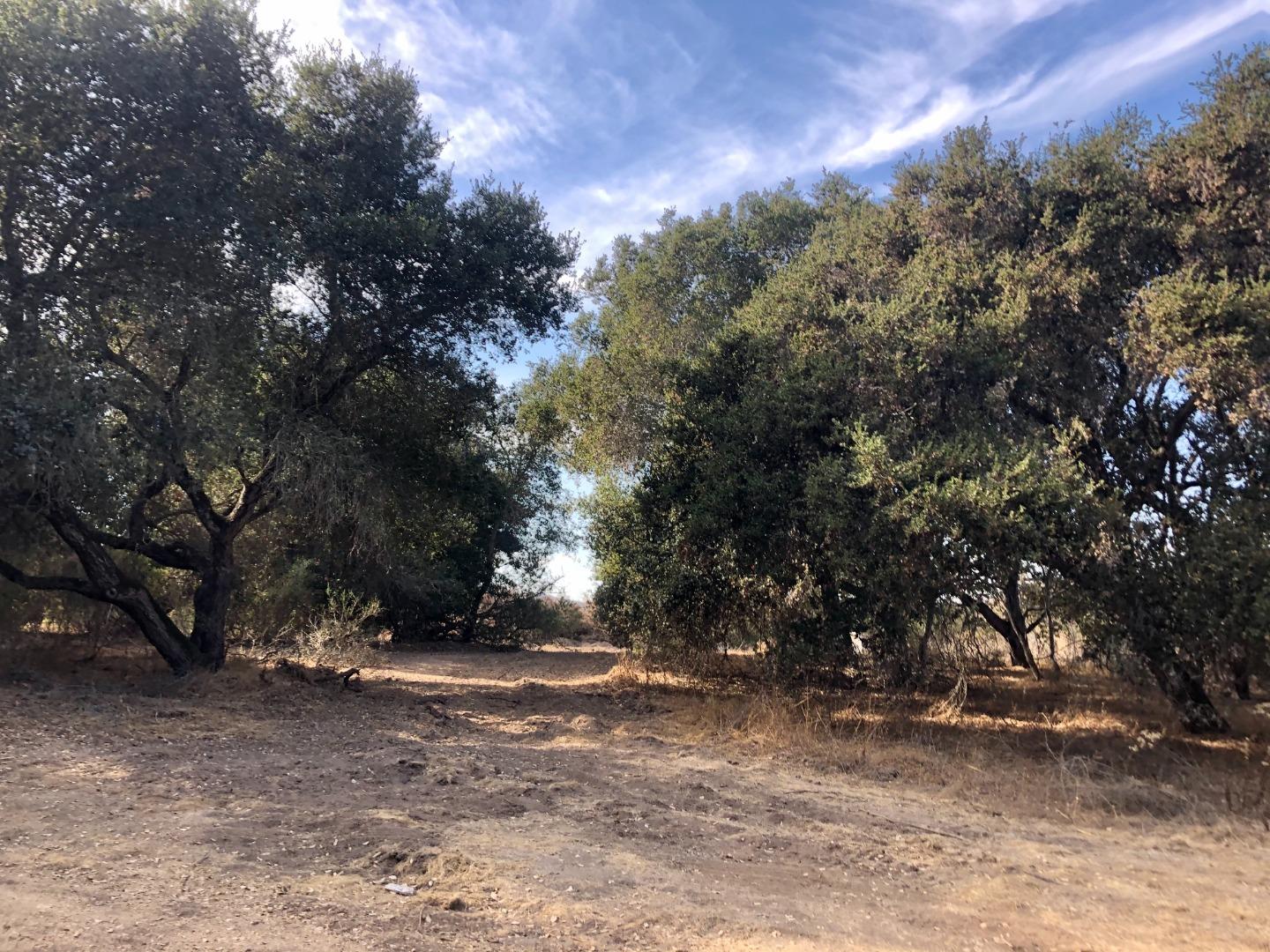 332 San Benancio Road, SALINAS, California 93908, ,Lots And Land,For Sale,San Benancio Road,40962055