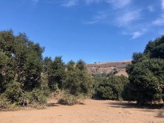 332 San Benancio Road, SALINAS, California 93908, ,Lots And Land,For Sale,San Benancio Road,40962055