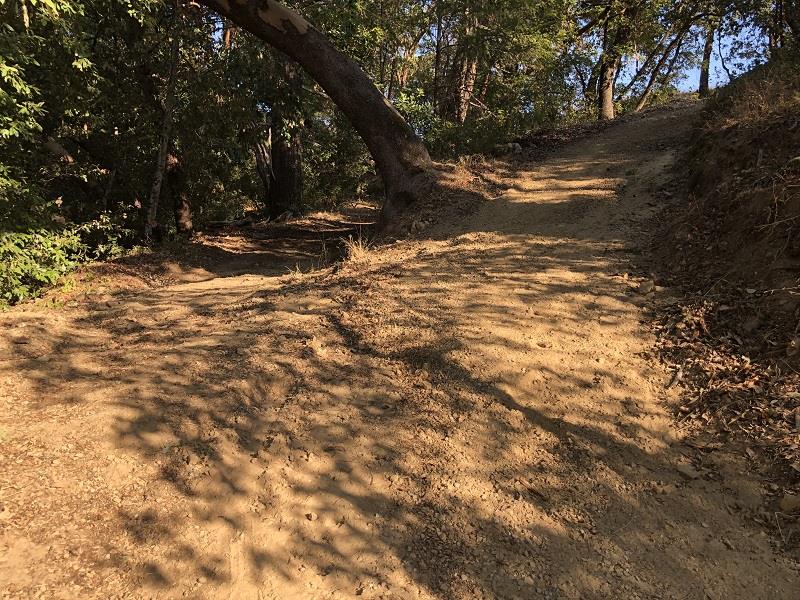 0 HARTMAN CREEK Road, BOULDER CREEK, California 95006, ,Lots And Land,For Sale,HARTMAN CREEK Road,40970564