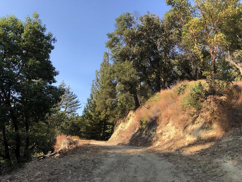 0 HARTMAN CREEK Road, BOULDER CREEK, California 95006, ,Lots And Land,For Sale,HARTMAN CREEK Road,40970564