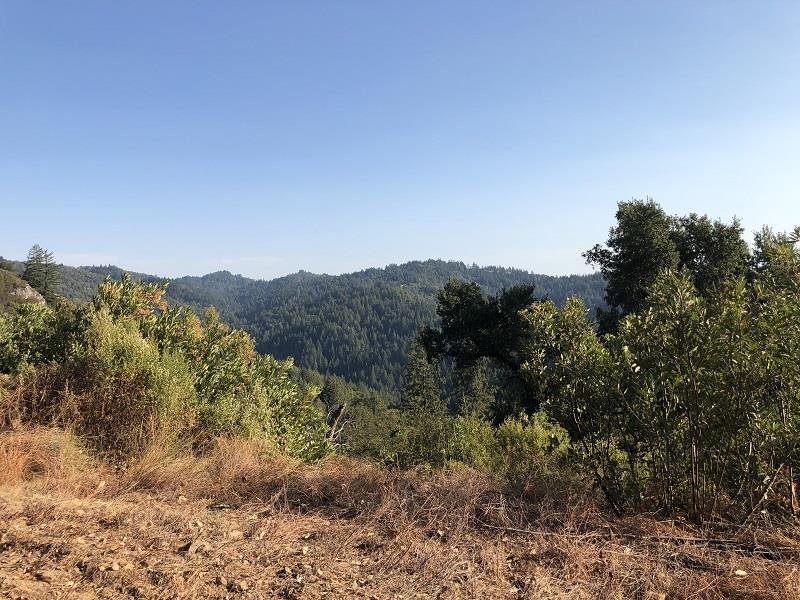 0 HARTMAN CREEK Road, BOULDER CREEK, California 95006, ,Lots And Land,For Sale,HARTMAN CREEK Road,40970564