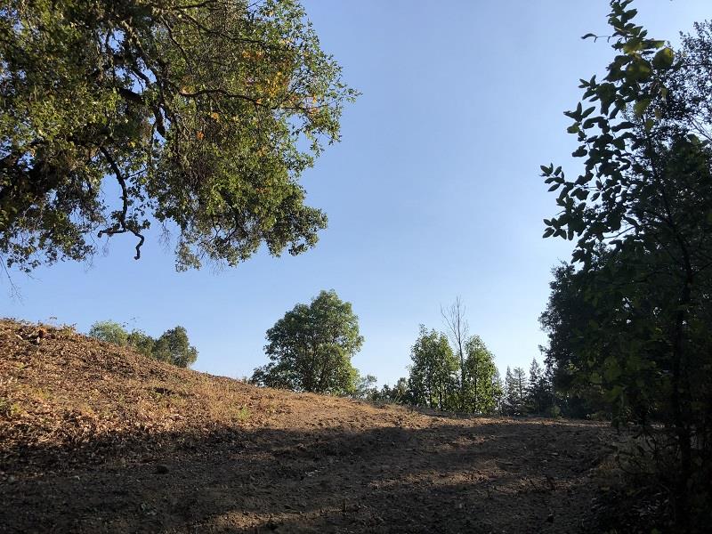 0 HARTMAN CREEK Road, BOULDER CREEK, California 95006, ,Lots And Land,For Sale,HARTMAN CREEK Road,40970564