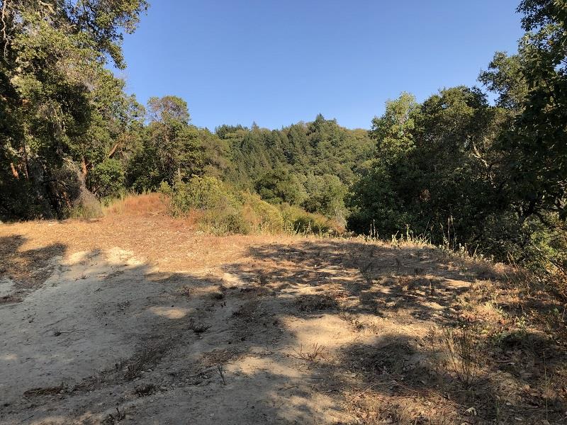 0 HARTMAN CREEK Road, BOULDER CREEK, California 95006, ,Lots And Land,For Sale,HARTMAN CREEK Road,40970564
