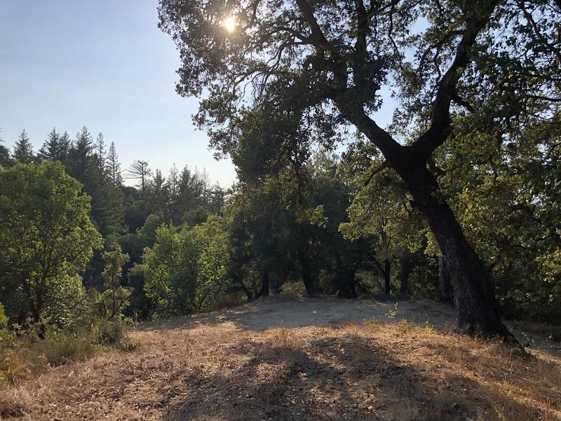 0 HARTMAN CREEK Road, BOULDER CREEK, California 95006, ,Lots And Land,For Sale,HARTMAN CREEK Road,40970564