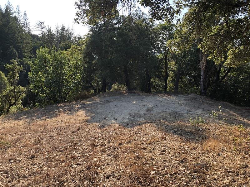 0 HARTMAN CREEK Road, BOULDER CREEK, California 95006, ,Lots And Land,For Sale,HARTMAN CREEK Road,40970564