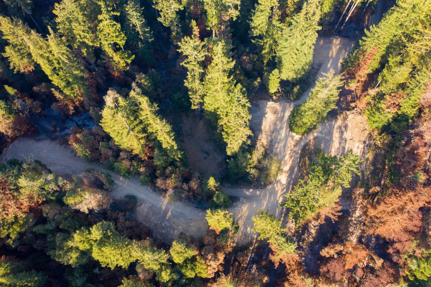 Lots 20&14 Felton Quarry Road, FELTON, California 95018, ,Lots And Land,For Sale,Felton Quarry Road,40962042