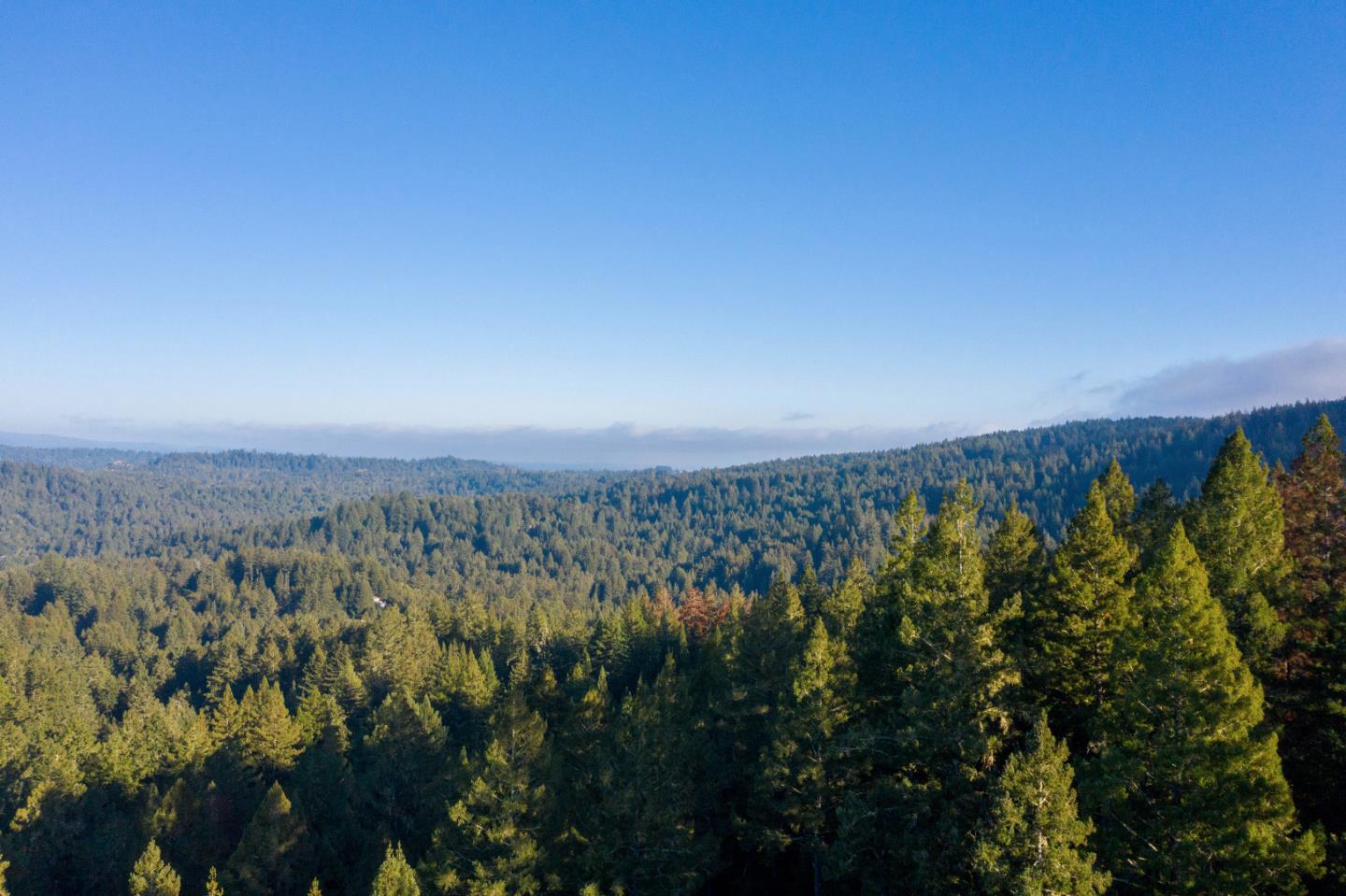 Lots 20&14 Felton Quarry Road, FELTON, California 95018, ,Lots And Land,For Sale,Felton Quarry Road,40962042