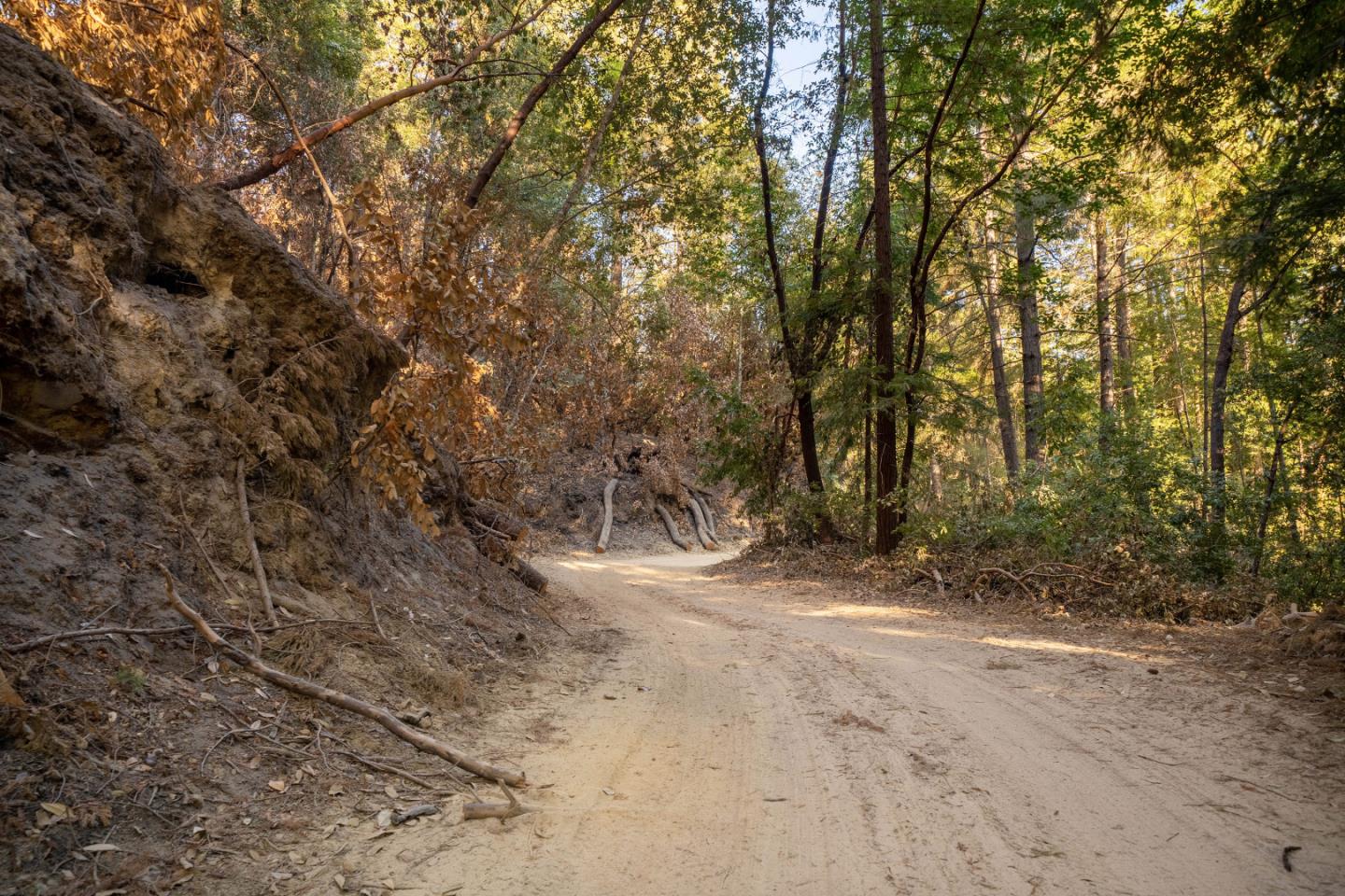 Lots 20&14 Felton Quarry Road, FELTON, California 95018, ,Lots And Land,For Sale,Felton Quarry Road,40962042