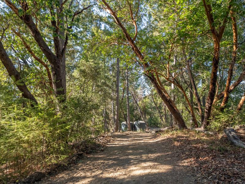 Lot 01 Wickert Road, BOULDER CREEK, California 95006, ,Lots And Land,For Sale,Wickert Road,40963411