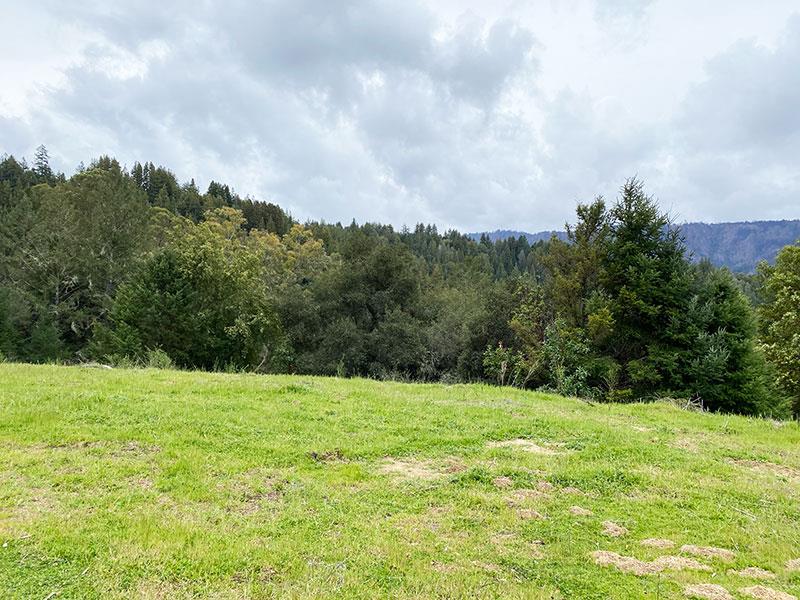 Lot 01 Wickert Road, BOULDER CREEK, California 95006, ,Lots And Land,For Sale,Wickert Road,40963411
