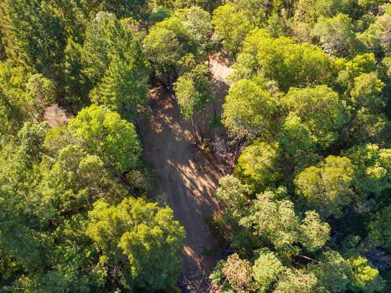 Lot 01 Wickert Road, BOULDER CREEK, California 95006, ,Lots And Land,For Sale,Wickert Road,40963411