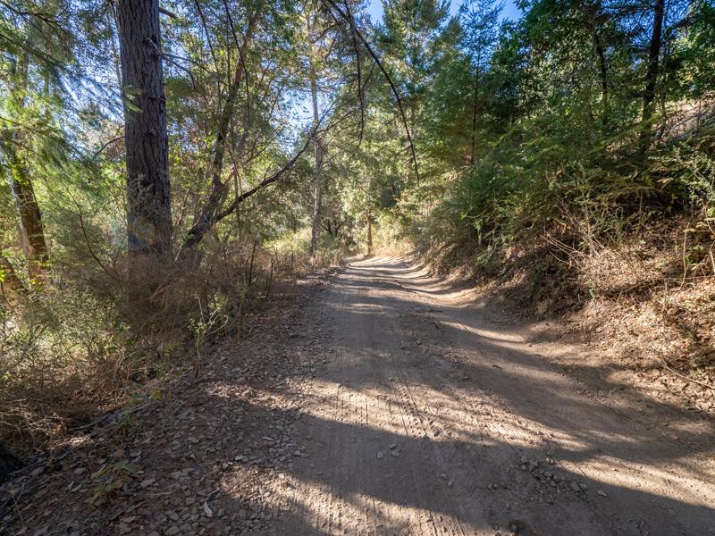 Lot 01 Wickert Road, BOULDER CREEK, California 95006, ,Lots And Land,For Sale,Wickert Road,40963411