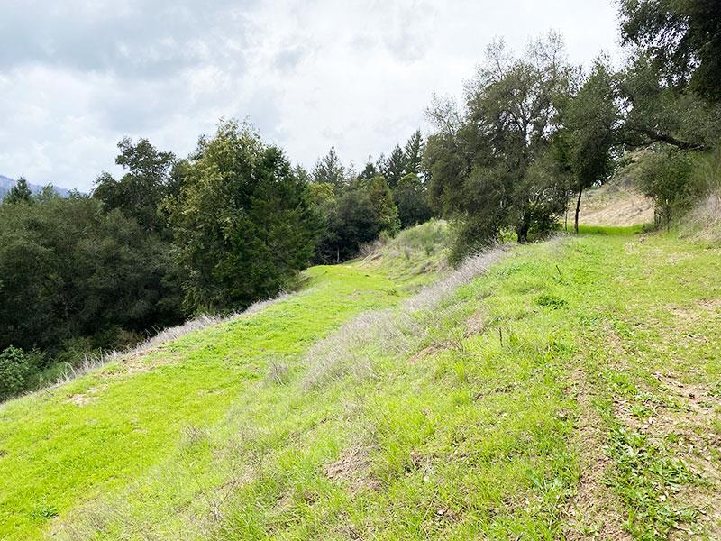 Lot 01 Wickert Road, BOULDER CREEK, California 95006, ,Lots And Land,For Sale,Wickert Road,40963411