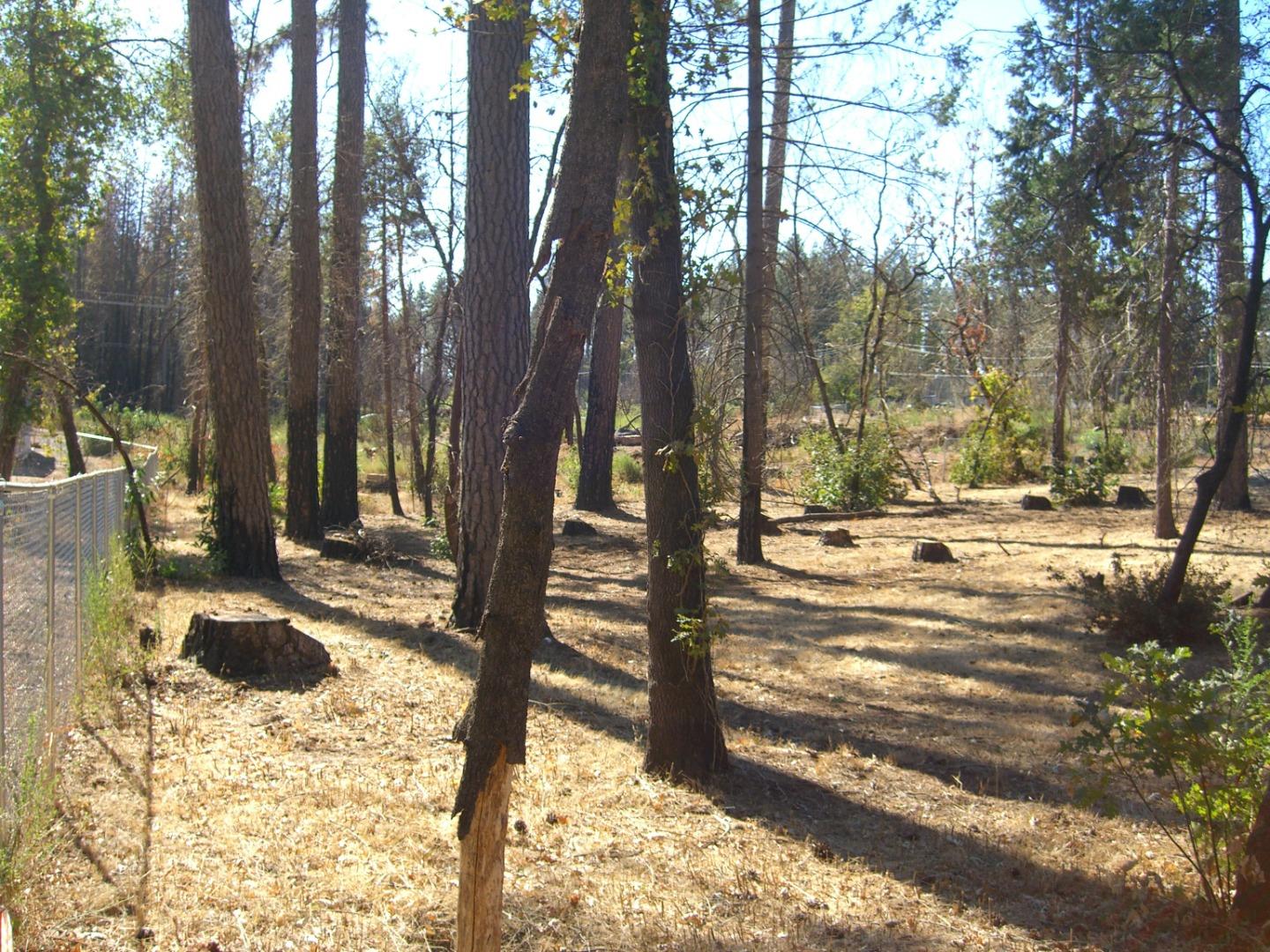 6760 Moore Rd, PARADISE, California 95969, ,Lots And Land,For Sale,Moore Rd,40961957