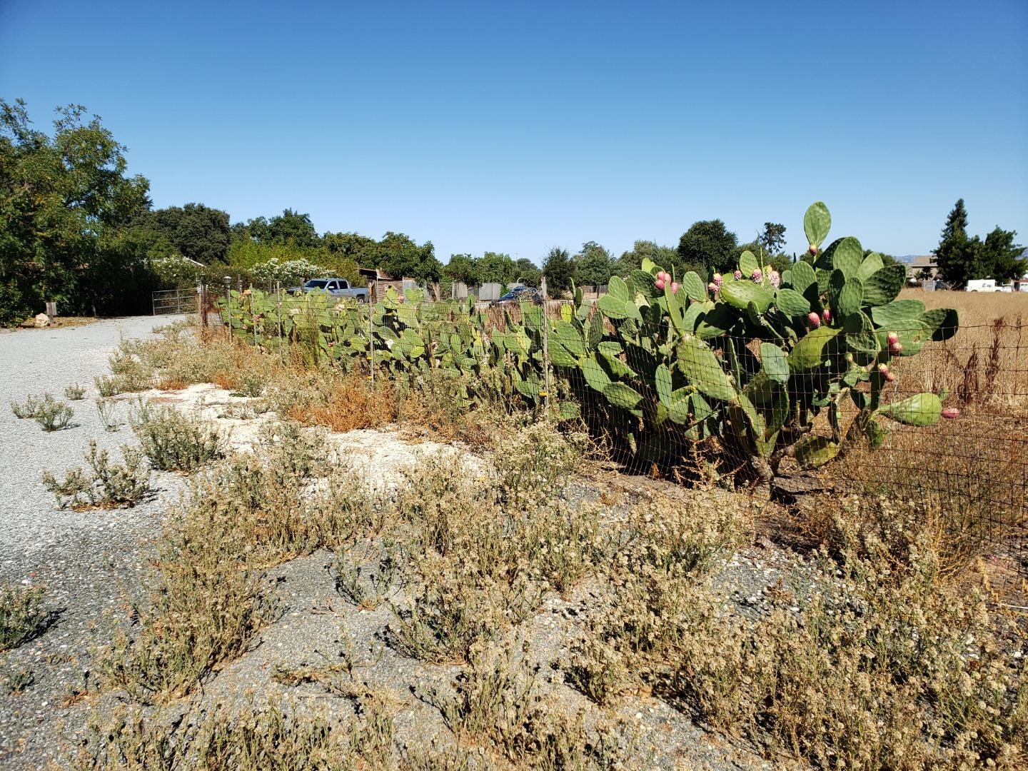 470 Vickery Avenue, GILROY, California 95020, ,Lots And Land,For Sale,Vickery Avenue,40963432