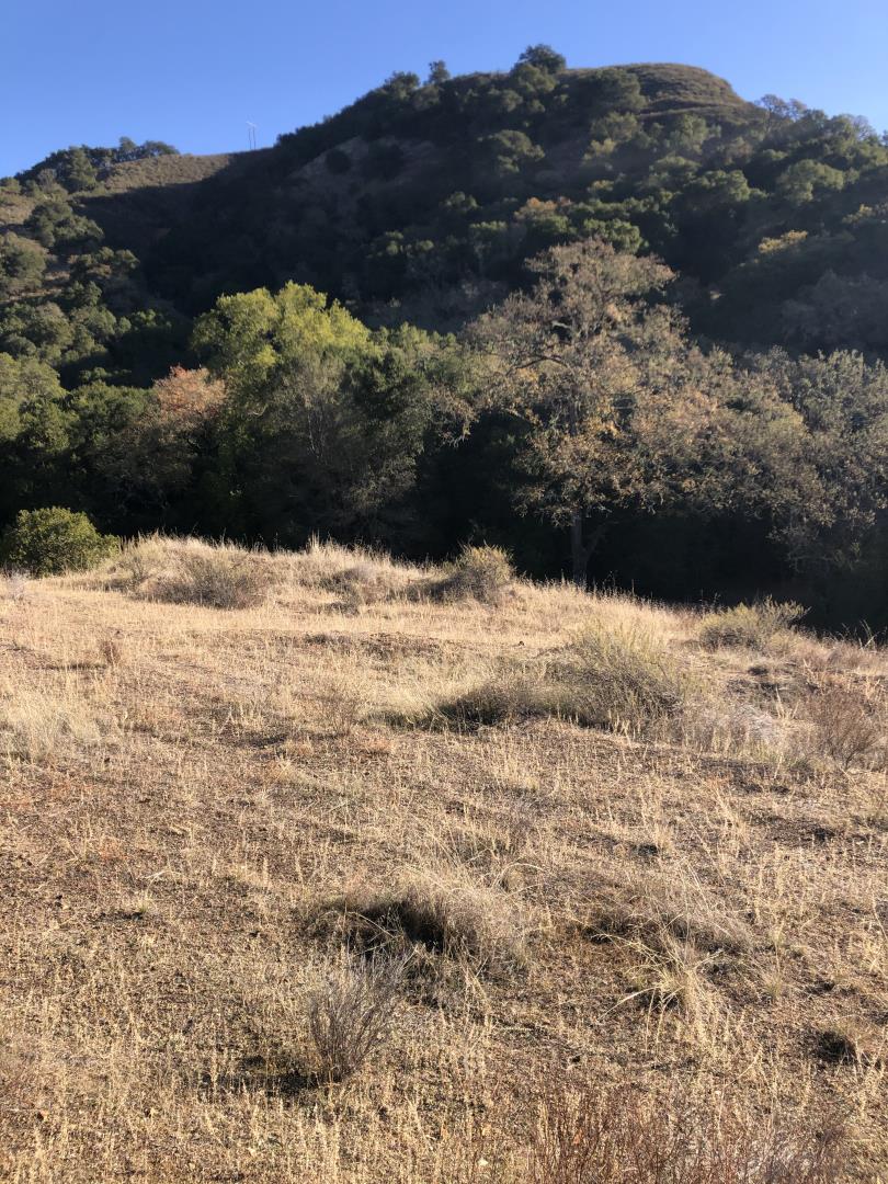 0 Uvas Road, MORGAN HILL, California 95037, ,Lots And Land,For Sale,Uvas Road,40964490