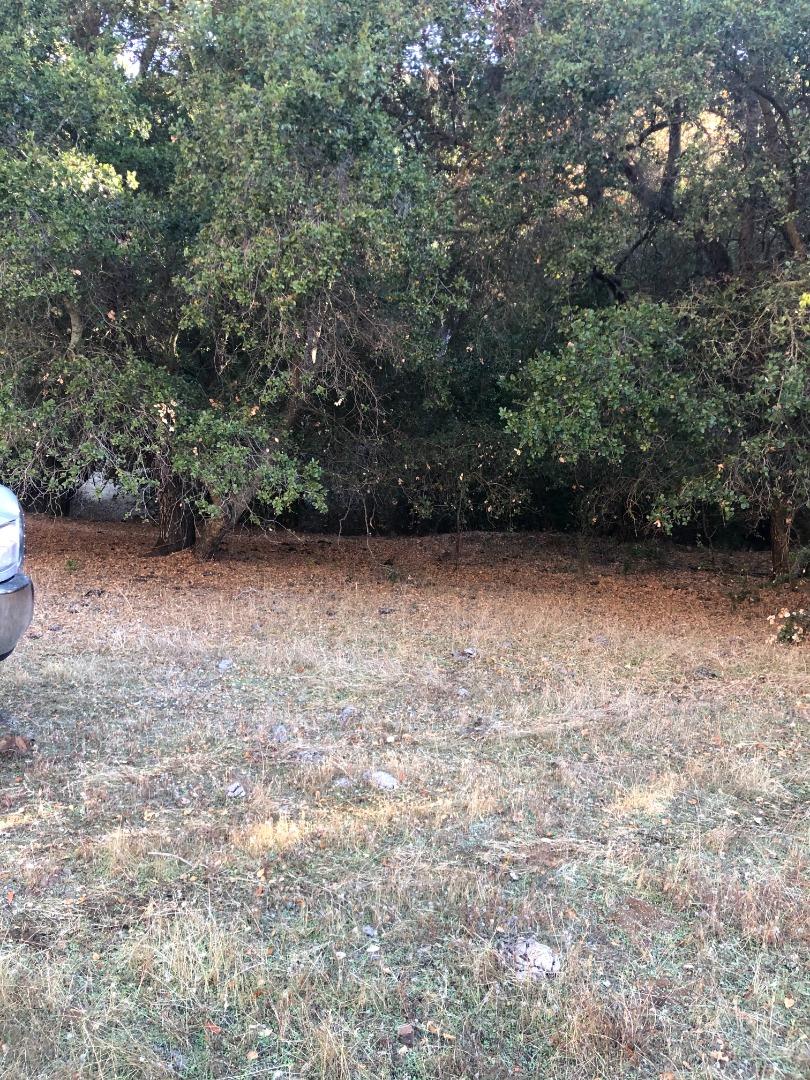 0 Uvas Road, MORGAN HILL, California 95037, ,Lots And Land,For Sale,Uvas Road,40964490