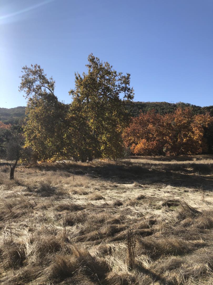 0 Uvas Road, MORGAN HILL, California 95037, ,Lots And Land,For Sale,Uvas Road,40964490