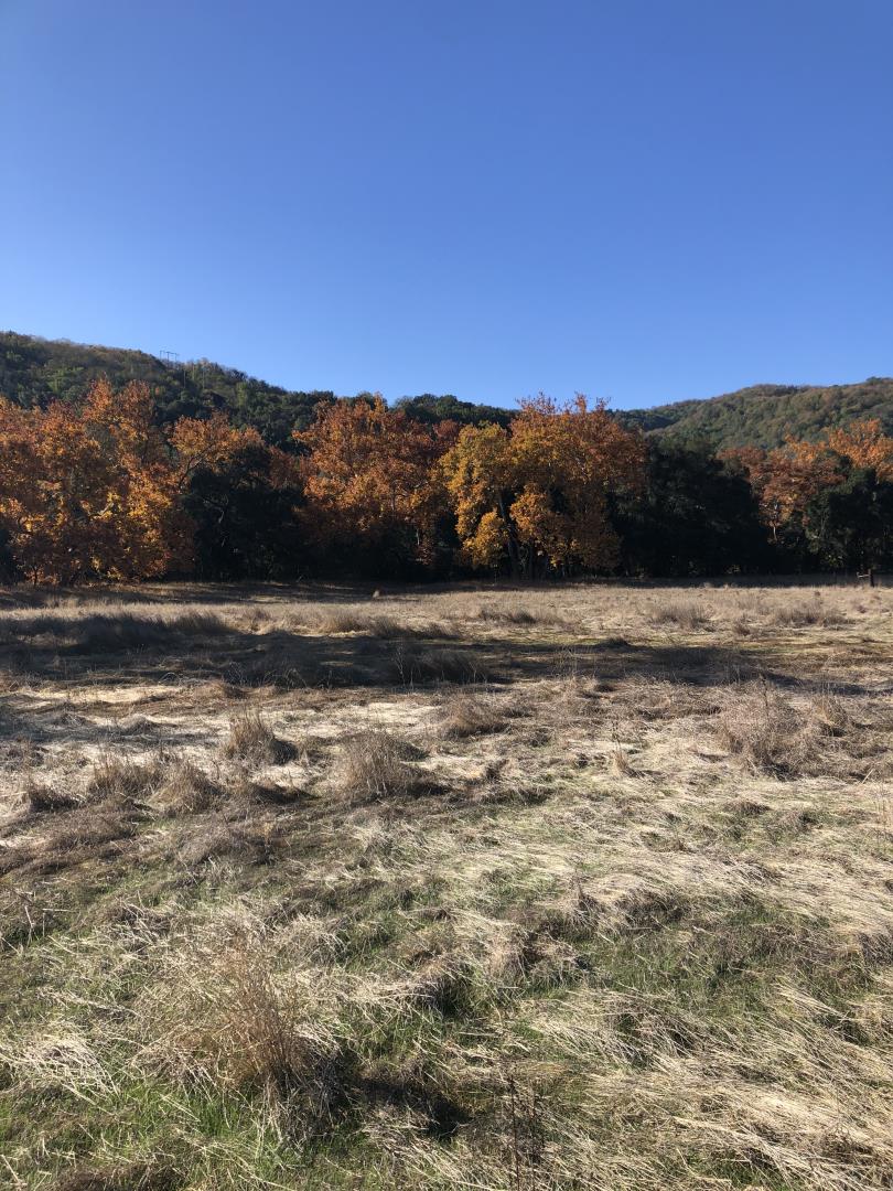 0 Uvas Road, MORGAN HILL, California 95037, ,Lots And Land,For Sale,Uvas Road,40964490