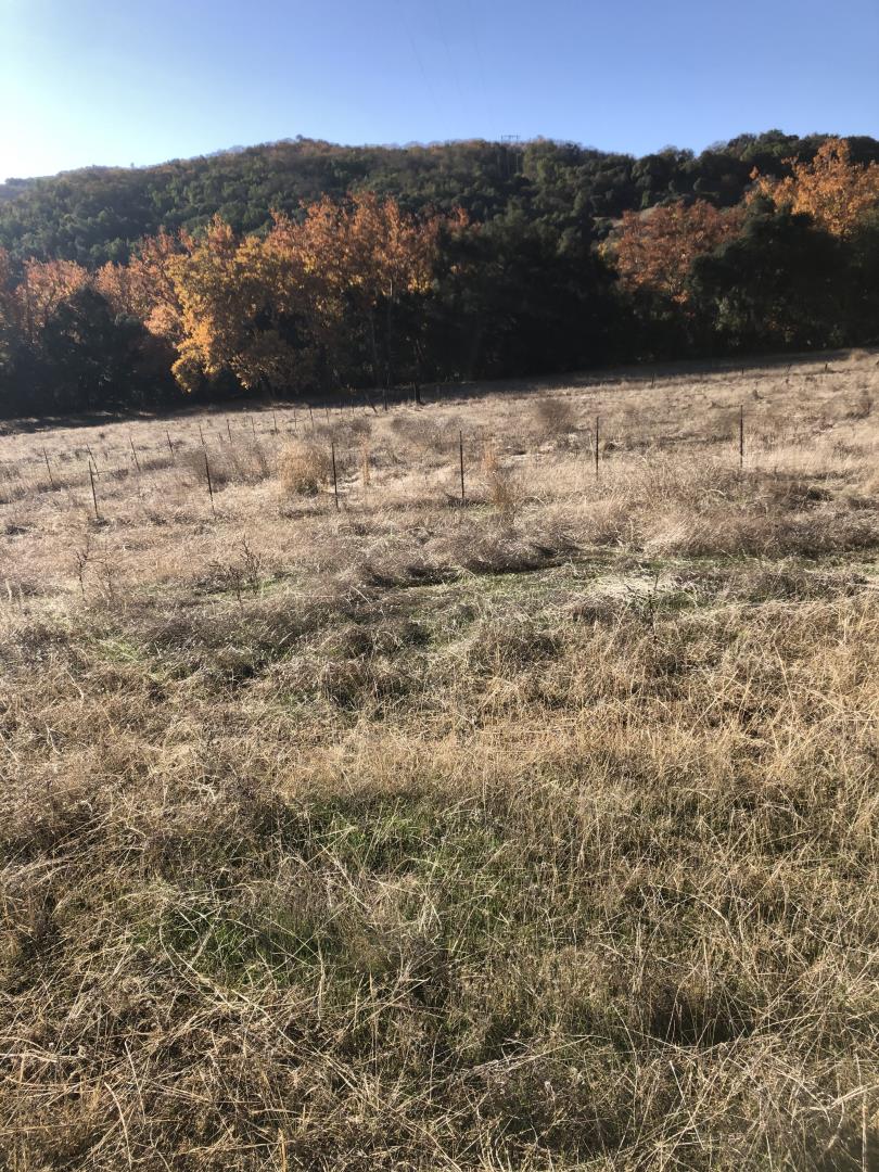0 Uvas Road, MORGAN HILL, California 95037, ,Lots And Land,For Sale,Uvas Road,40964490