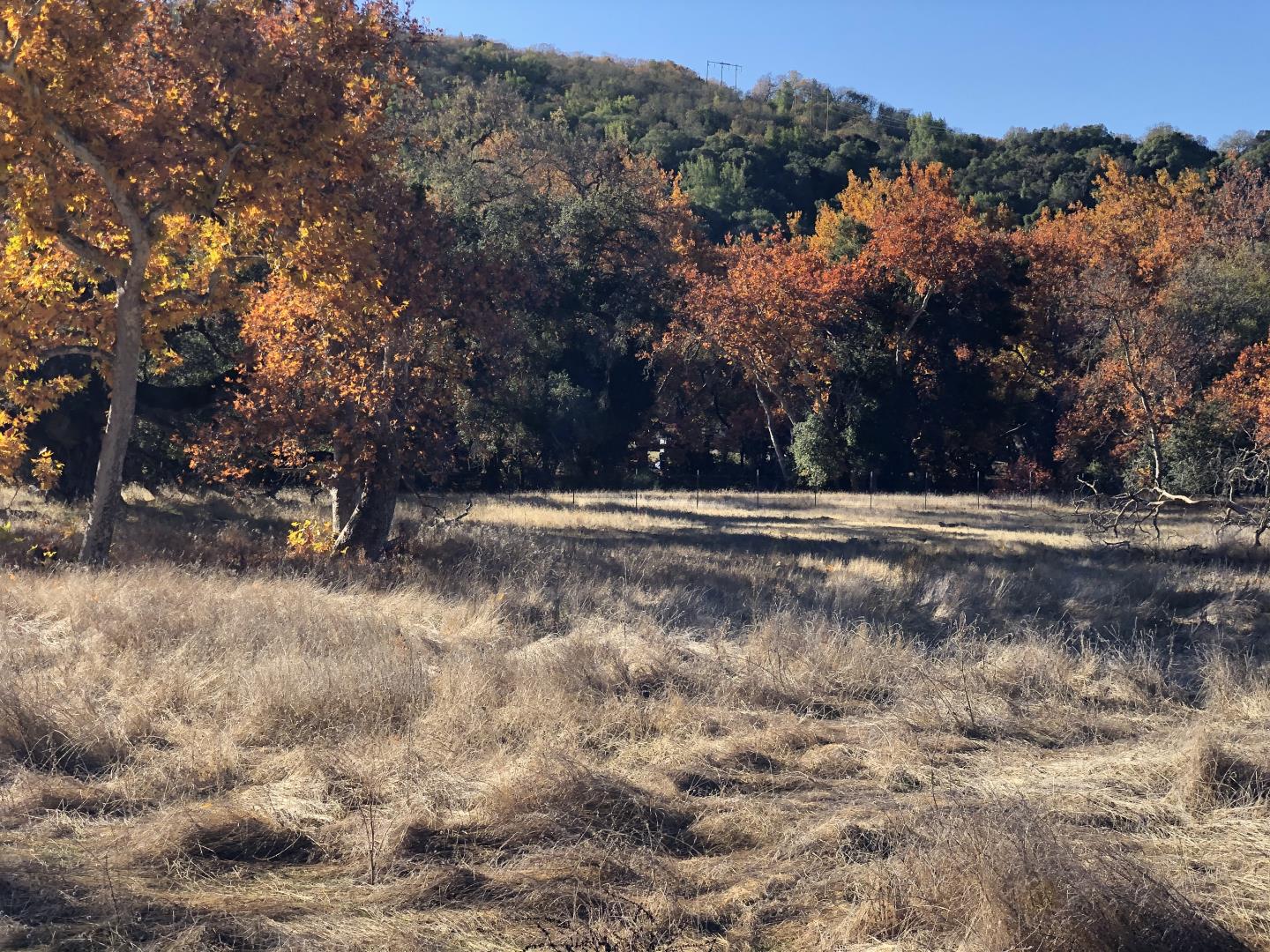 0 Uvas Road, MORGAN HILL, California 95037, ,Lots And Land,For Sale,Uvas Road,40964490