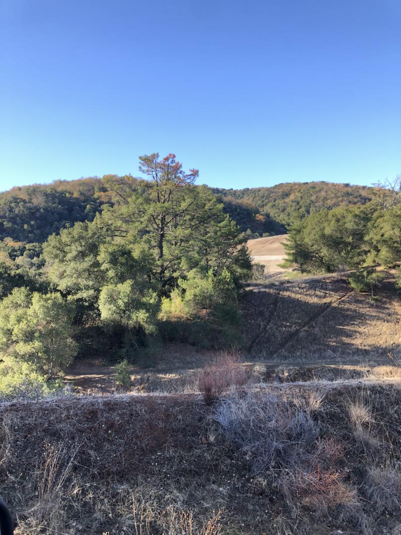 0 Uvas Road, MORGAN HILL, California 95037, ,Lots And Land,For Sale,Uvas Road,40964490