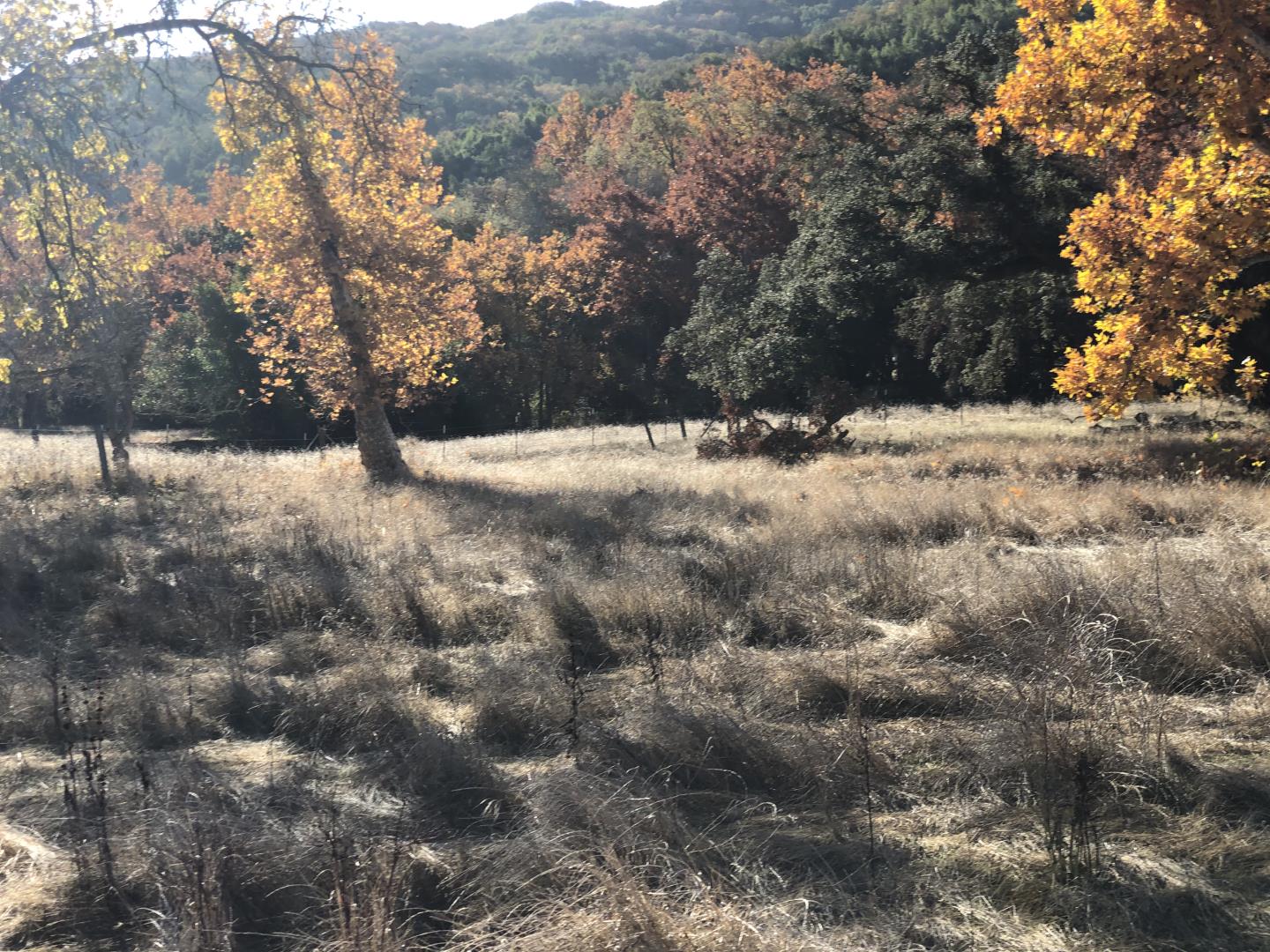 0 Uvas Road, MORGAN HILL, California 95037, ,Lots And Land,For Sale,Uvas Road,40964490