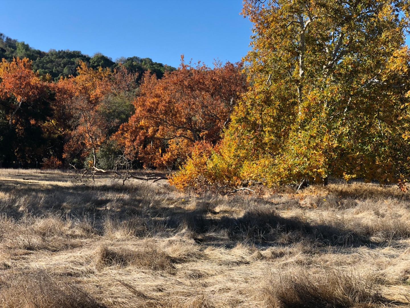 0 Uvas Road, MORGAN HILL, California 95037, ,Lots And Land,For Sale,Uvas Road,40964490