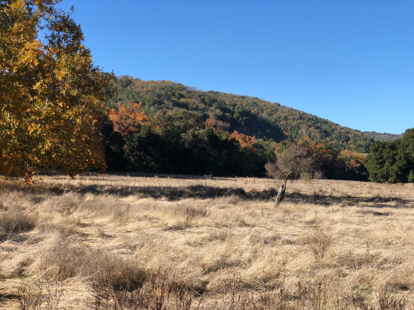 0 Uvas Road, MORGAN HILL, California 95037, ,Lots And Land,For Sale,Uvas Road,40964490