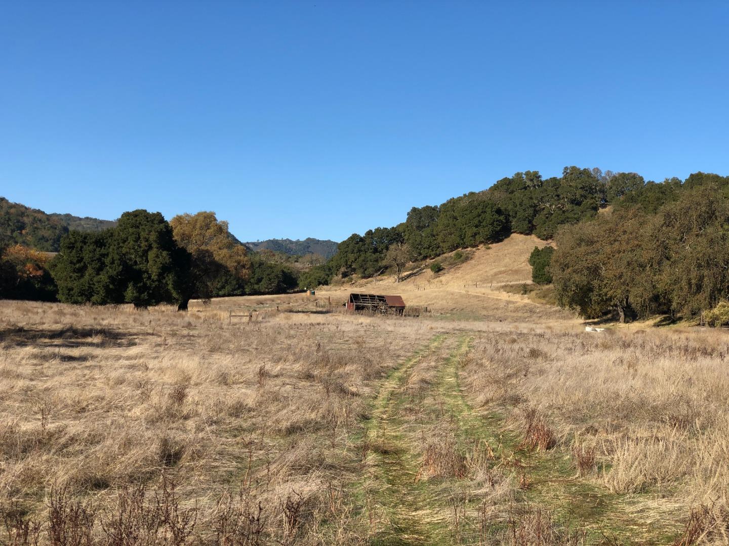 0 Uvas Road, MORGAN HILL, California 95037, ,Lots And Land,For Sale,Uvas Road,40964490