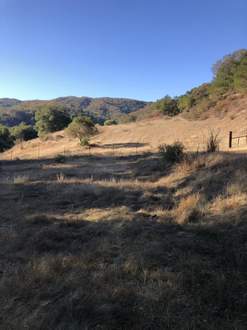 0 Uvas Road, MORGAN HILL, California 95037, ,Lots And Land,For Sale,Uvas Road,40964490
