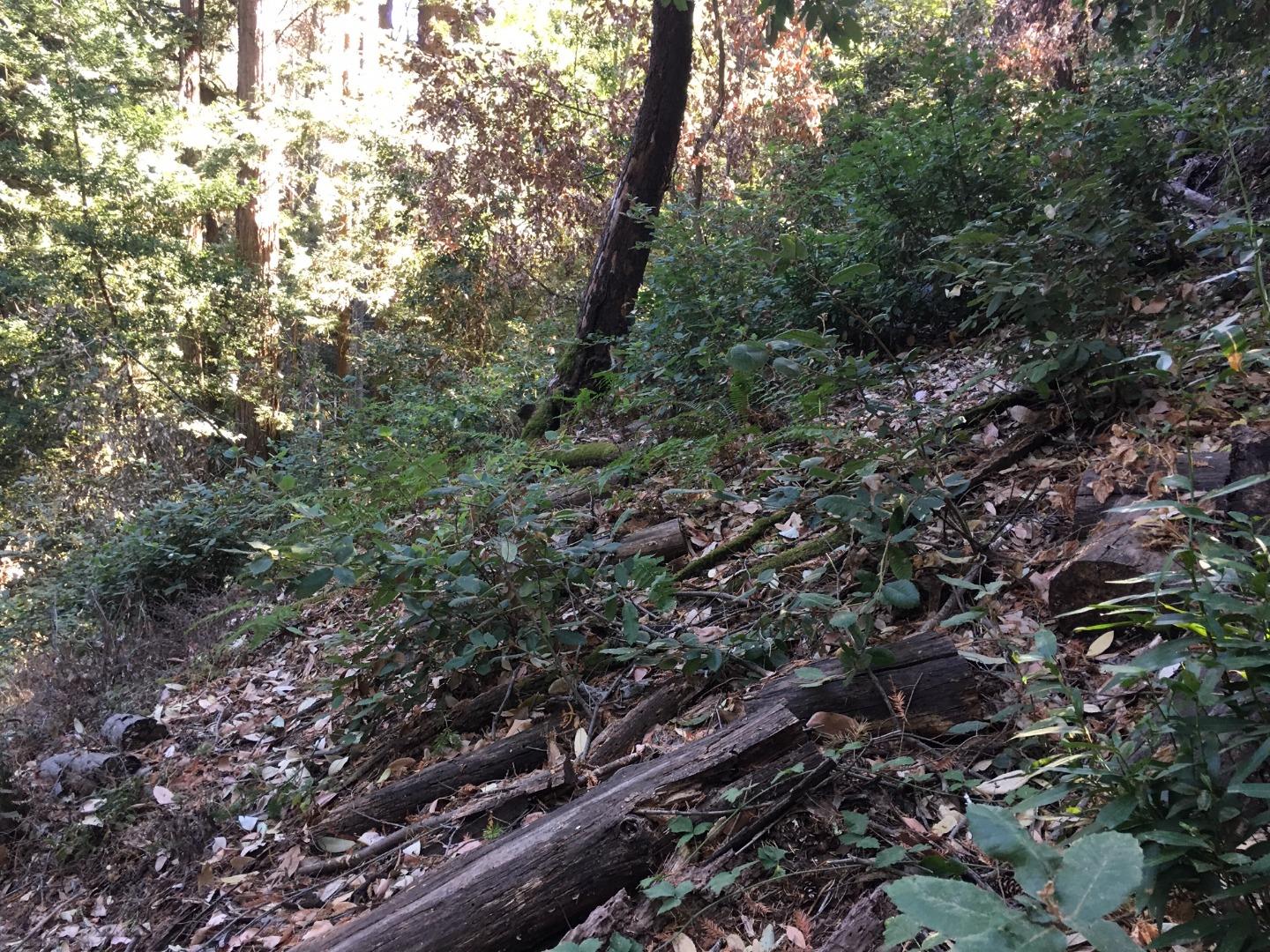 Mountain Charlie Road, LOS GATOS, California 95033, ,Lots And Land,For Sale,Mountain Charlie Road,40961904