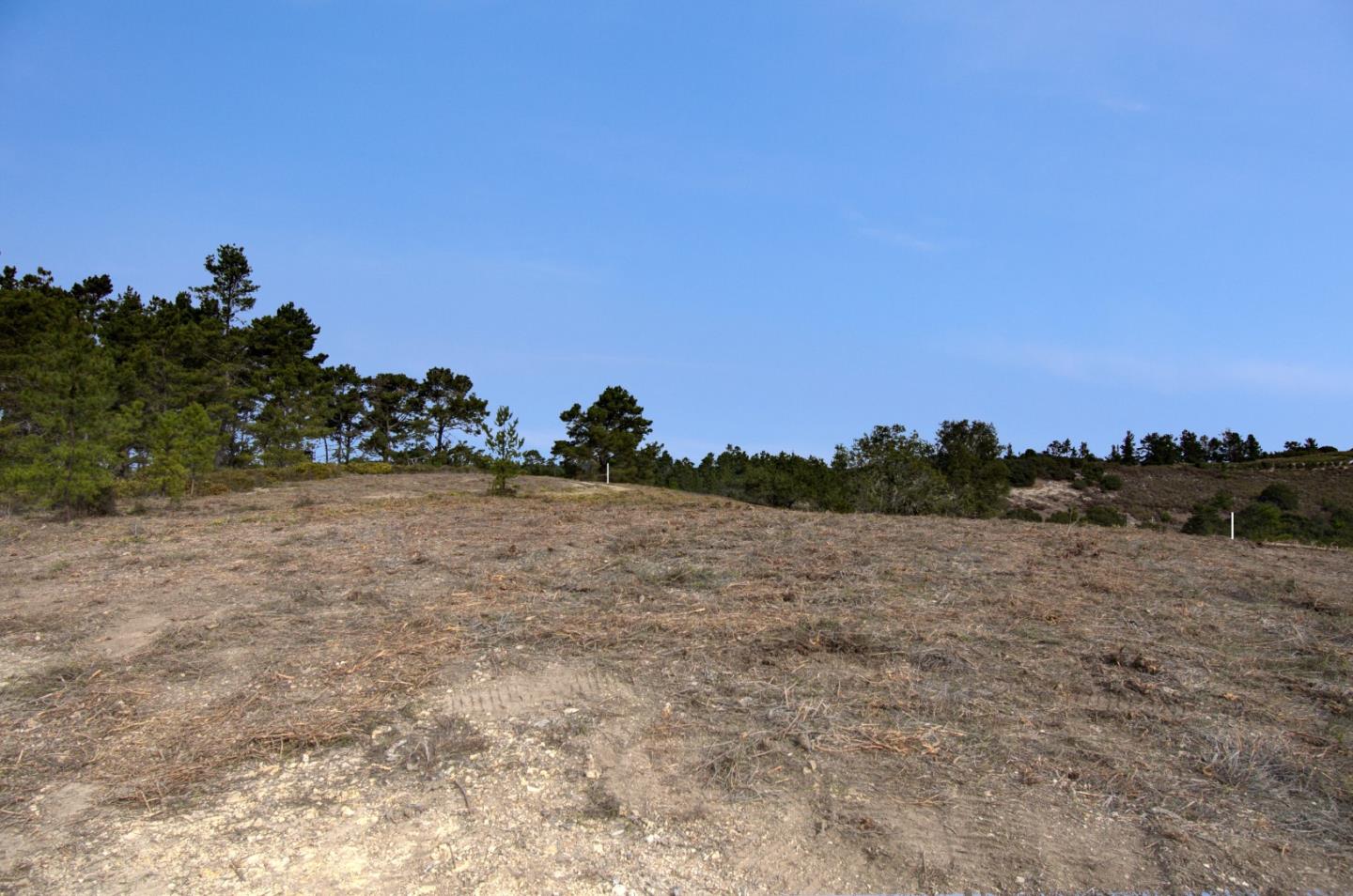 51 Marguerite, CARMEL, California 93923, ,Lots And Land,For Sale,Marguerite,40961959