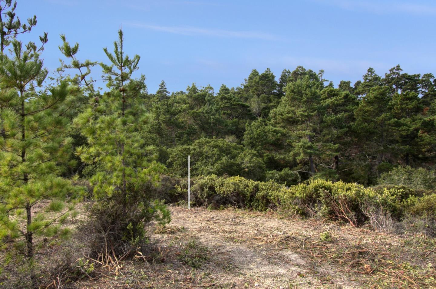 51 Marguerite, CARMEL, California 93923, ,Lots And Land,For Sale,Marguerite,40961959