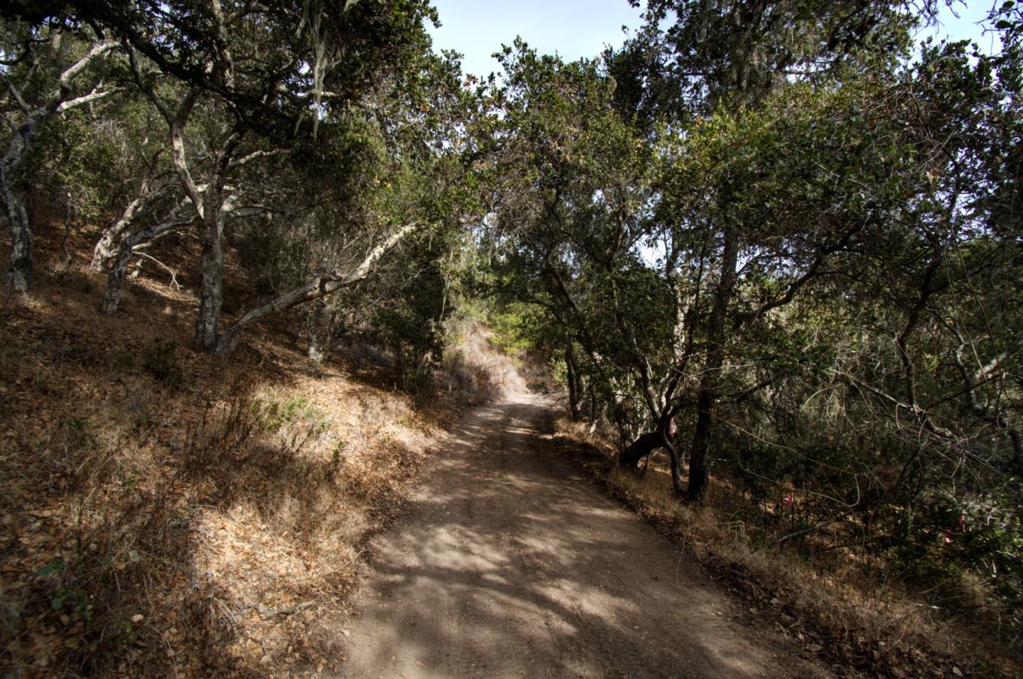 51 Marguerite, CARMEL, California 93923, ,Lots And Land,For Sale,Marguerite,40961959