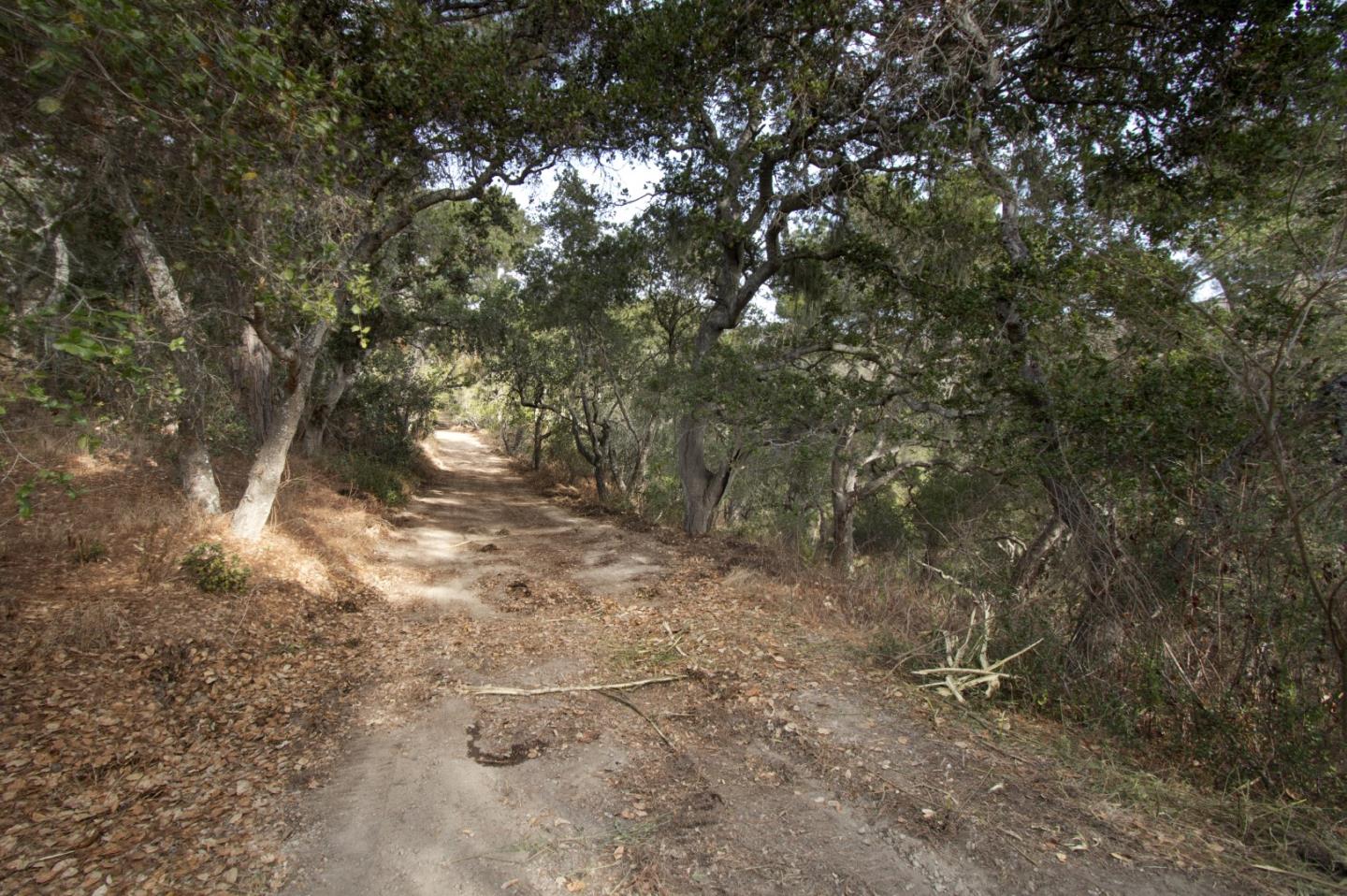 51 Marguerite, CARMEL, California 93923, ,Lots And Land,For Sale,Marguerite,40961959