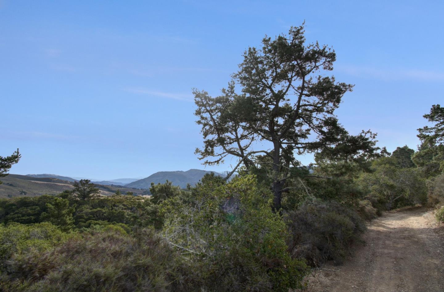 51 Marguerite, CARMEL, California 93923, ,Lots And Land,For Sale,Marguerite,40961959