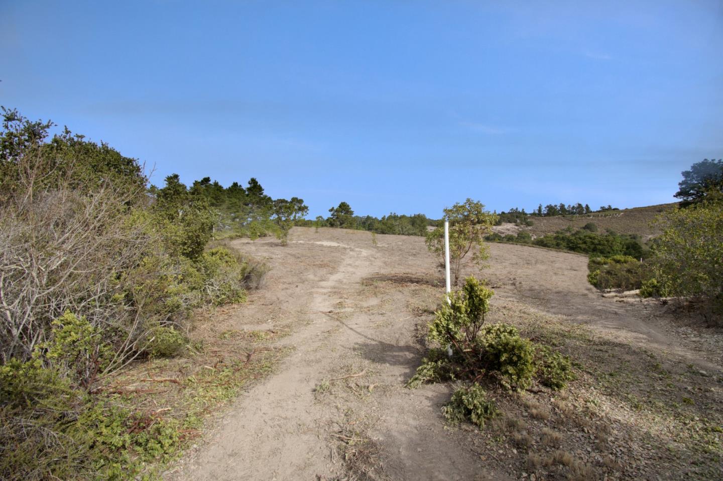 51 Marguerite, CARMEL, California 93923, ,Lots And Land,For Sale,Marguerite,40961959