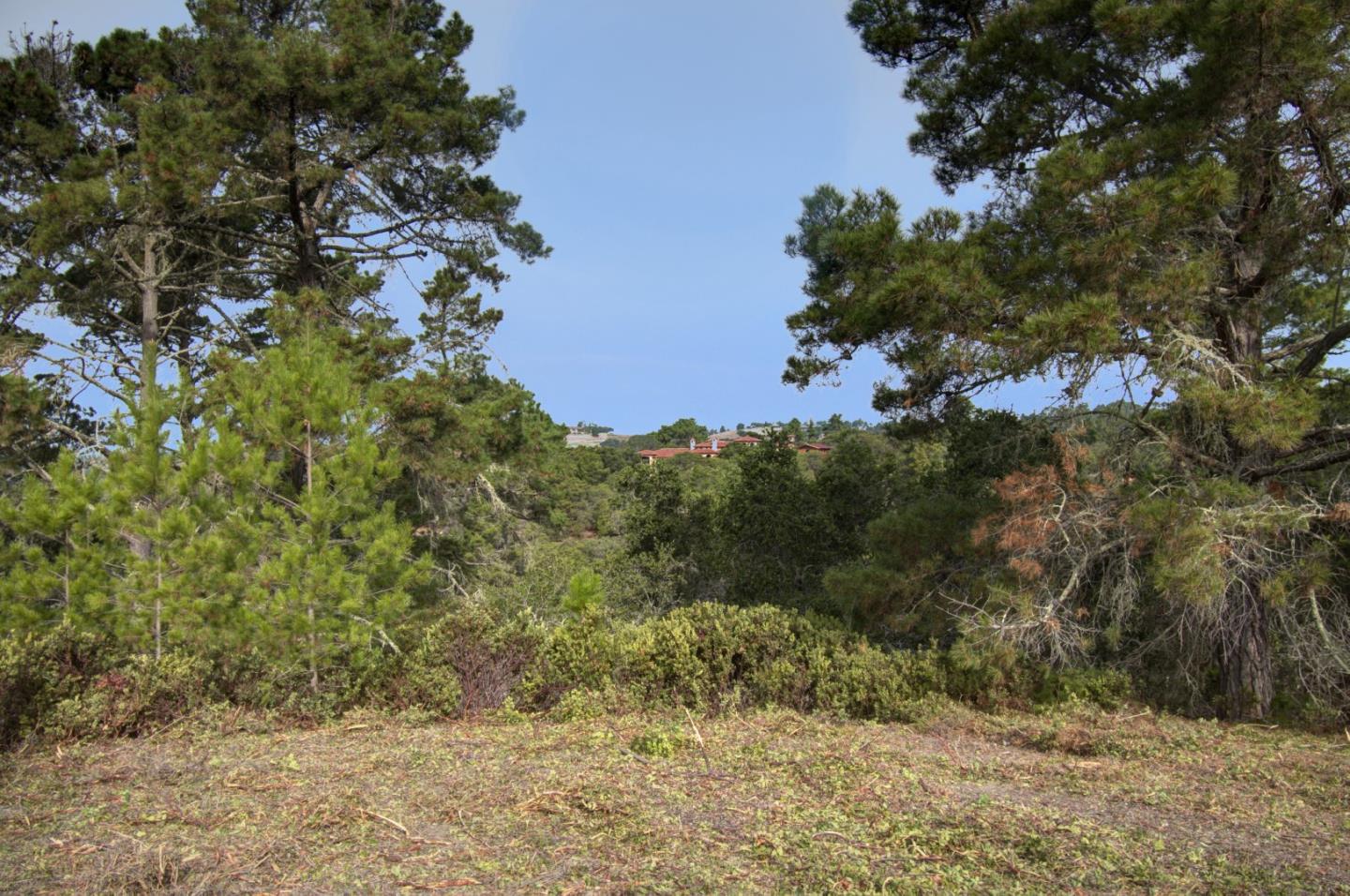 51 Marguerite, CARMEL, California 93923, ,Lots And Land,For Sale,Marguerite,40961959