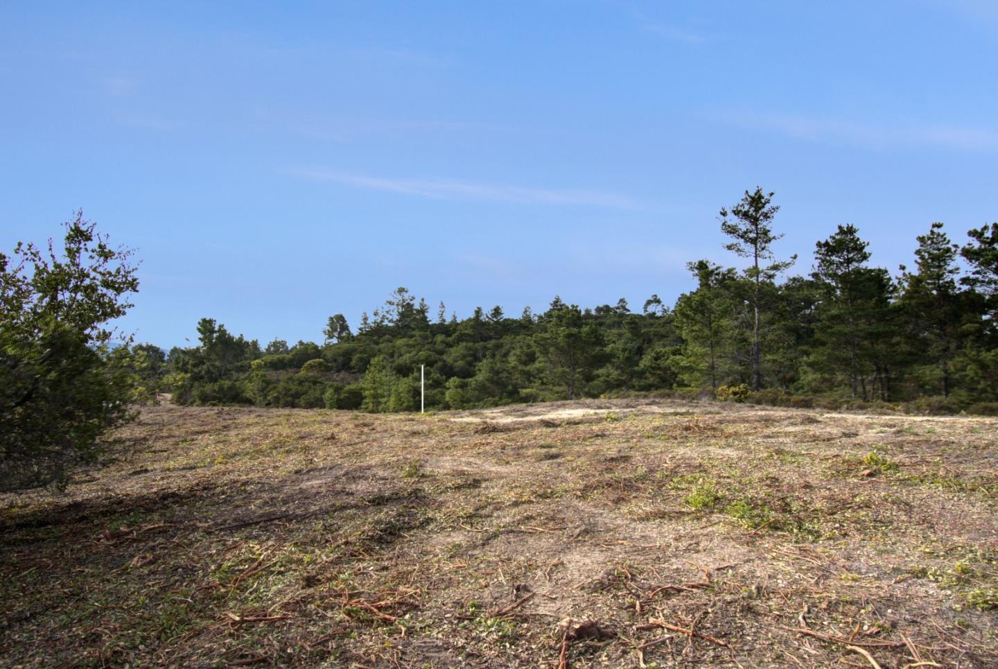 51 Marguerite, CARMEL, California 93923, ,Lots And Land,For Sale,Marguerite,40961959