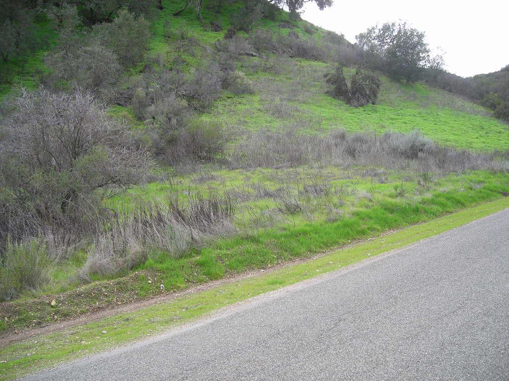0 Lockwood San Lucas Road, KING CITY, California 93930, ,Lots And Land,For Sale,Lockwood San Lucas Road,40965272