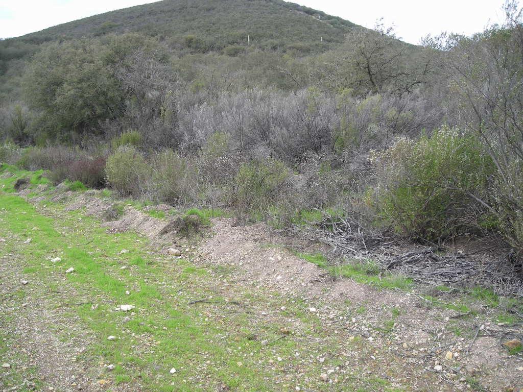 0 Lockwood San Lucas Road, KING CITY, California 93930, ,Lots And Land,For Sale,Lockwood San Lucas Road,40967451