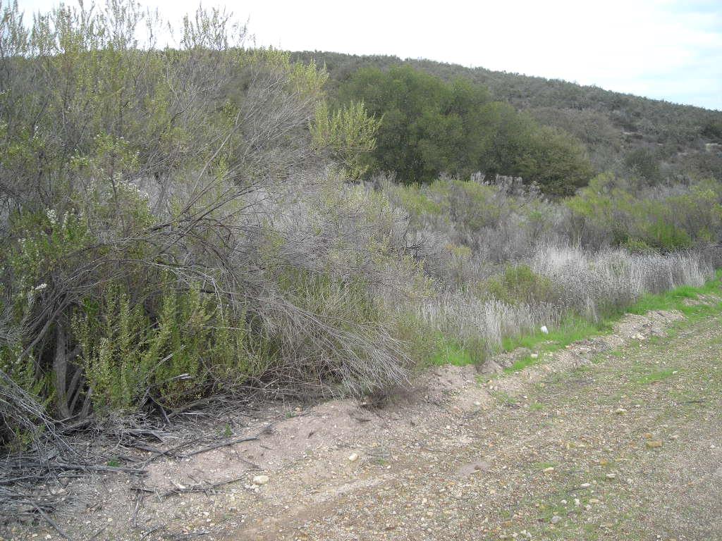0 Lockwood San Lucas Road, KING CITY, California 93930, ,Lots And Land,For Sale,Lockwood San Lucas Road,40967451