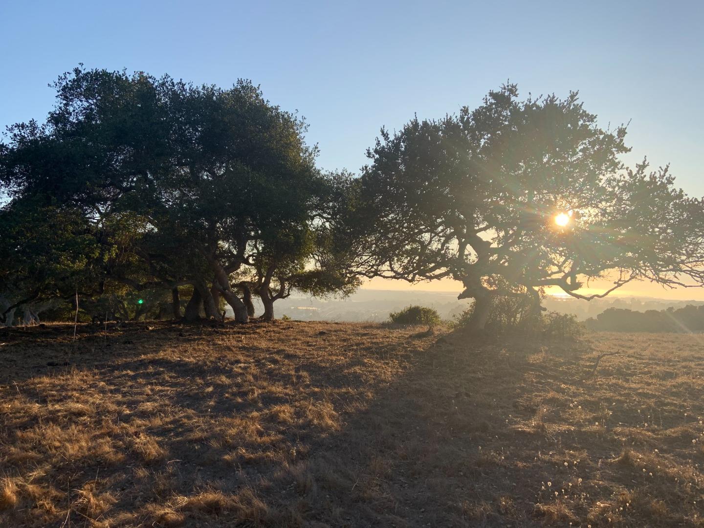 0 Las Lomas Drive, ROYAL OAKS, California 95076, ,Lots And Land,For Sale,Las Lomas Drive,40962209