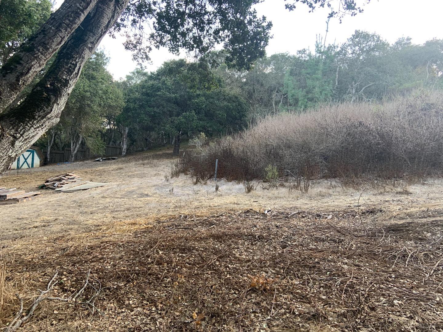 0 Las Lomas Drive, ROYAL OAKS, California 95076, ,Lots And Land,For Sale,Las Lomas Drive,40962209