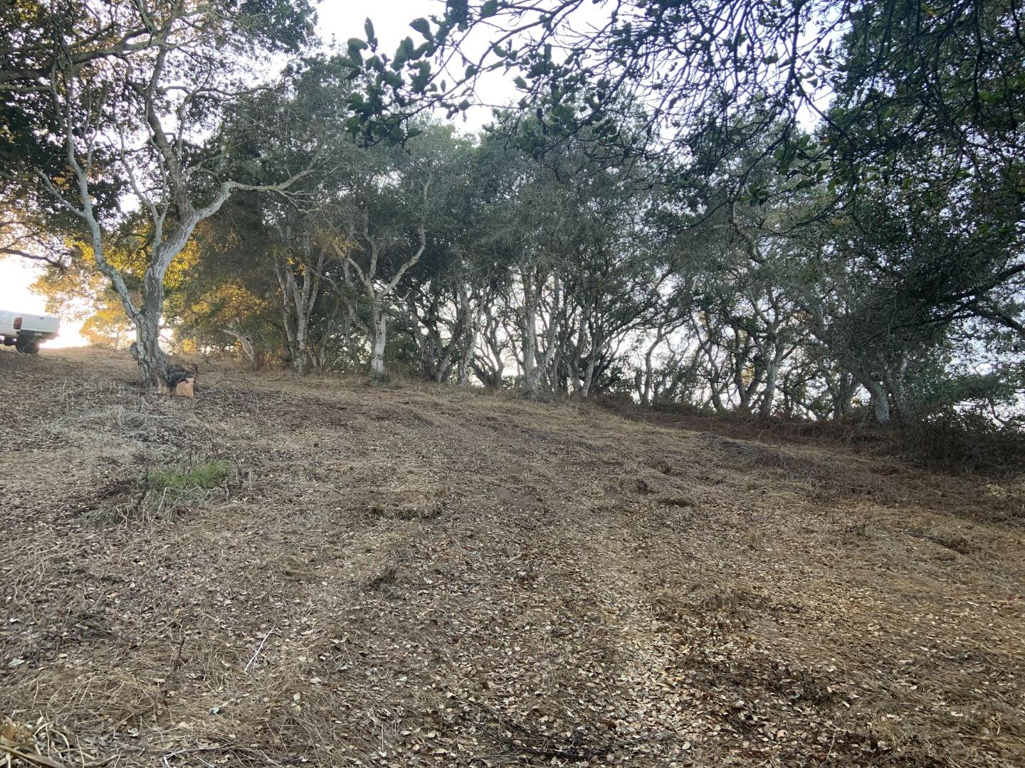 0 Las Lomas Drive, ROYAL OAKS, California 95076, ,Lots And Land,For Sale,Las Lomas Drive,40962209